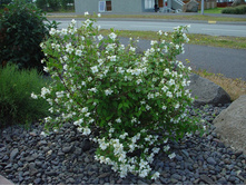 136���. �������� ��� ����.jpg