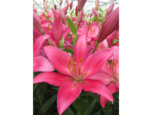 20,59���. ����� ����(��� 7 ��. ���������� �� 2��.).jpg