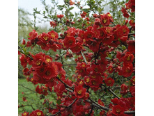 138���. ���� ������������ (���������) ����� �������.jpg