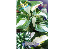 116,8���. ����� ������(�������� ���� �� 1 ��., ����������� ����� 1��.).jpg