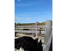 IMG 20161002 120641.jpg