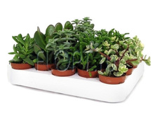 �������� ���� 9�20. 93,45 ���.jpg