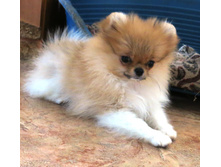 ���� � �� 007.JPG