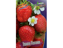 29,36���. ��������� ������� ����� ������(���������� ������ ������ ����������. � �������� 5 ��.).jpg