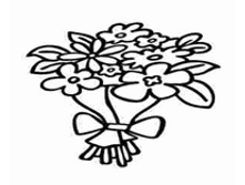 Image338.png