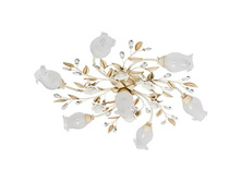 422010907 9000�.jpg