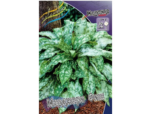 102,6���. �������� �������� ���(�������� ���� �� 1 ��., ����������� ����� 1��.).jpg