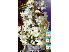 283,5���. �������� �������(�������� ���� �� 2 ��., ����������� ����� 1��.).jpg