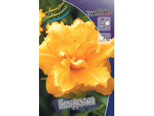 86,05���. �������� ��������(�������� ���� �� 2 ��., ����������� ����� 1��.).jpg