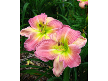 211,6���. �������� ������ �����(�������� ���� �� 1 ��., ����������� ����� 1��.)���17.jpg