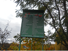 DSCN3250.JPG