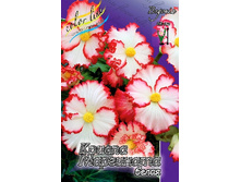 48,93���. ������� ������ ��������� �����-�������.jpg