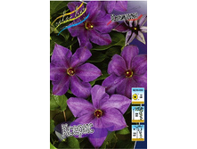 124,3���. �������� ������(�������� ���� �� 2 ��., ����������� ����� 1��.).jpg