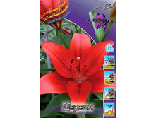 20,59���. ����� ������(��� 7 ��. ���������� �� 2��.).jpg