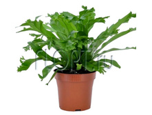 ��������� ������ 12�30. 221,88 ���.jpg