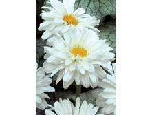 195,8���. ������� ��������� ������(�������� ���� �� 1 ��., ����������� ����� 1��.).jpg