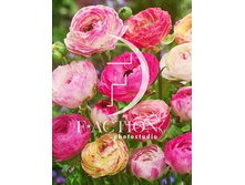 10,1���. ���������� ������ �������(���������� ������ ������ ���������� �� 10 ��.)���17.jpg