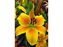 23,92���. ����� ������ ����(��� 5 ��. ���������� �� 2��.).jpg