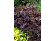 262,1���. �������� ���� �������(�������� ���� �� 1 ��., ����������� ����� 1��.).jpg