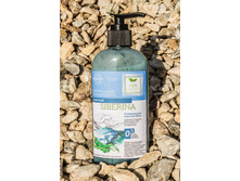 ����������� ���� ��� ���� "�������", 279,3