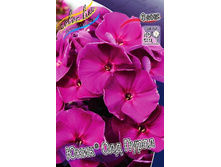 92,35���. ����� ���� ��� �����(�������� ���� �� 2 ��., ����������� ����� 1��.).jpg