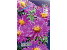 57,95���. ����� ������(�������� ���� �� 2 ��., ����������� ����� 1��.).jpg