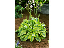 211,6���. ����� ���� ���(�������� ���� �� 1 ��., ����������� ����� 1��.)���17.jpg