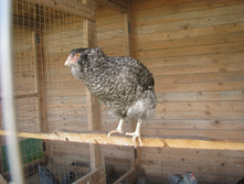 IMG 6699.jpg