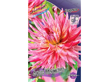 84,4���. �������� ���� ������(�������� ���� �� 1 ��., ����������� ����� 1��.).jpg