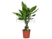 ������� �������� 1���. 11�55. 179,55 ���.jpg