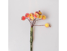 ������ ����� �����-��������� � ������ 65 ���.jpg