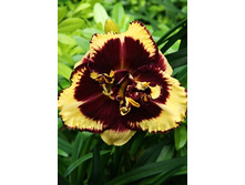 180���. �������� ������ �����(�������� ���� �� 1 ��., ����������� ����� 1��.).jpg