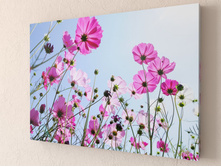 ������ ��� 1-1.jpg