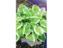 57,6���. ����� ���� �������(�������� ���� �� 2 ��., ����������� ����� 1��.).jpg