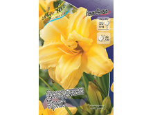 106,6���. �������� �������� ����(�������� ���� �� 2 ��., ����������� ����� 1��.).jpg