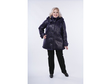 ������� ����������.JPG