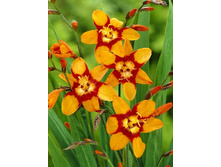 14,05���. ��������� ����� ��������(���������� ������ ������ ���������� �� 10 ��.).jpg