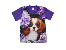 ����� 3D �������� �� ������� (������ � ���������), �� 286.00 ���.