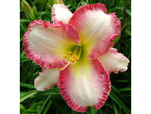 187,9���. �������� �� ��� �� ���(�������� ���� �� 1 ��., ����������� ����� 1��.).jpg