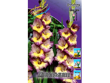 14,2���. ��������� �������(���������� �� ����� �������� �� 7��.).jpg