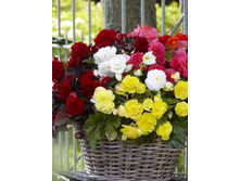 50,6���. ������� ����������� ������� �����(�������� ���� �� 3 ��., ����������� ����� 1��.).jpg