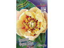 1040,9���. ���� ������ ���� ��� (���)(�������� ���� �� 1 ��., ����������� ����� 1��.).jpg