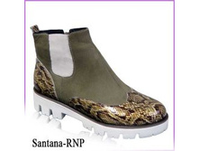 Santana-RNP_�������� (���: �141/1018RNP)