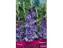 ��������� ��� ���.jpg