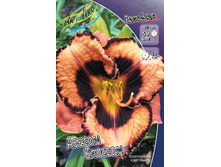 172,1���. �������� ������ �������(�������� ���� �� 1 ��., ����������� ����� 1��.).jpg