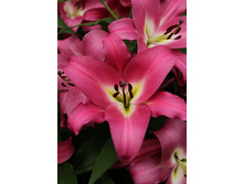 34,9���. ����� �����������(��� 5 ��. ���������� �� 2��.).jpg