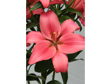 19,74���. ����� ������(��� 7 ��. ���������� �� 2��.).jpg