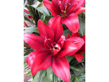 40,8���. ����� ����� �������(��� 5 ��. ���������� �� 2��.).jpg