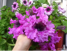 �. ������� ������������ ������� ���� ���. ���� 2.jpg