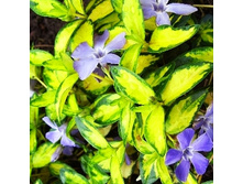 120���. �������� ����� �����������.jpg